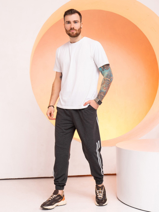 Штаны спортивные ISSA Plus модель GN-519_darkgray Фото