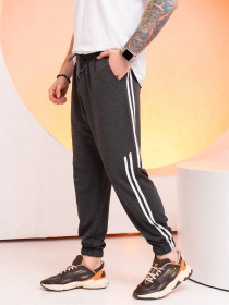 Спортивні штани ISSA Plus модель GN-519_darkgray Фото