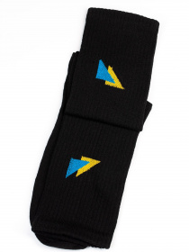 Носки ISSA Plus модель GNS-252_black Фото