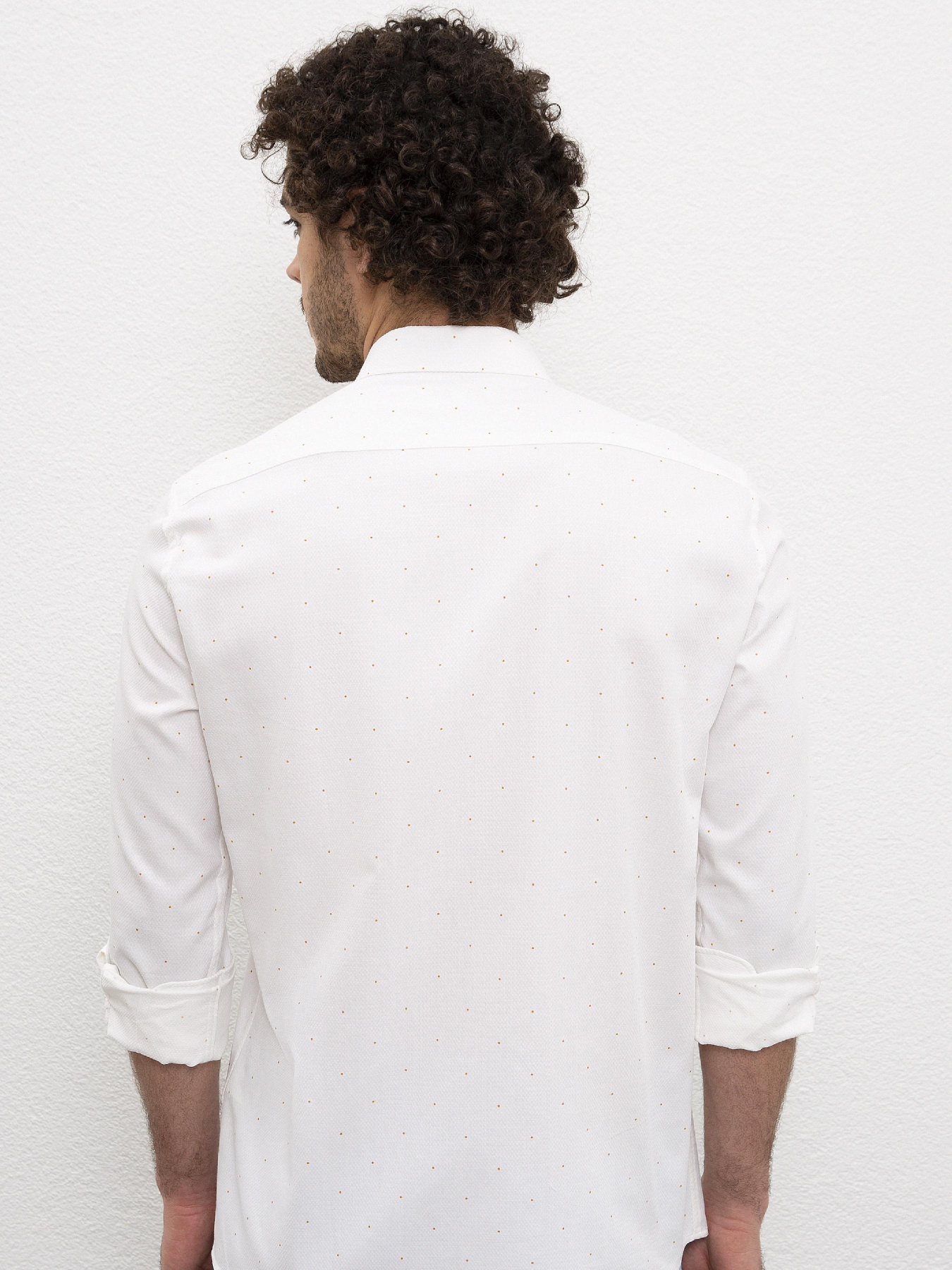 Рубашка US Polo модель G081SZ004.000.976445.VR072 Фото