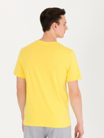 Футболка US Polo модель G081GL011.000.1571426.VR094 Фото