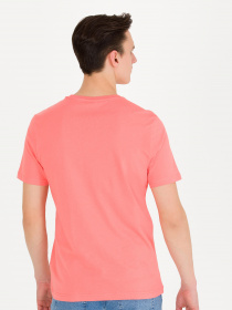 Футболка US Polo модель G081SZ011.000.1571124.VR047 Фото