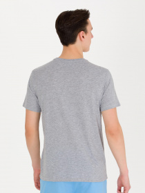 Футболка US Polo модель G081SZ011.000.1571124.VR086 Фото