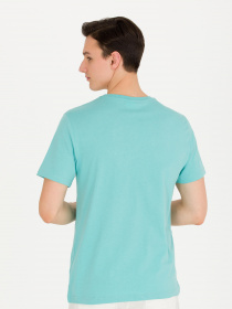 Футболка US Polo модель G081SZ011.000.1571124.VR090 Фото