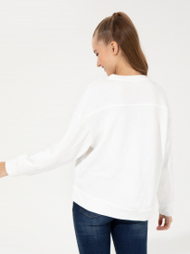 Свитшот US Polo модель G082SZ082.000.1497197.VR019 Фото