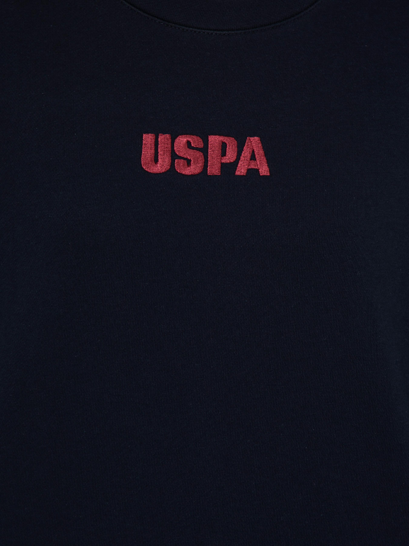 Свитшот US Polo модель G082SZ082.000.1497197.VR033 Фото