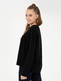 Свитшот US Polo модель G082SZ082.000.1497197.VR046 Свитшот US Polo модель G082SZ082.000.1497197.VR046 Фото