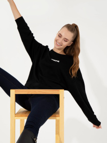 Свитшот US Polo модель G082SZ082.000.1497197.VR046 Свитшот US Polo модель G082SZ082.000.1497197.VR046 Фото