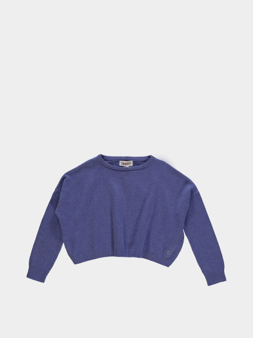 Худи и свитшоты Brums/Mek модель 223BGHC002-250 Фото