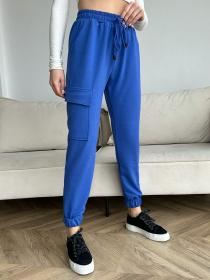 Спортивні штани ISSA Plus модель 13718_electrician Фото