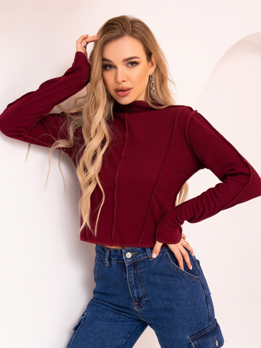 Водолазка ISSA Plus модель SA-447_burgundy Фото