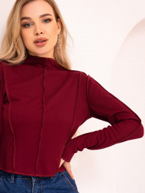 Водолазка ISSA Plus модель SA-447_burgundy Фото