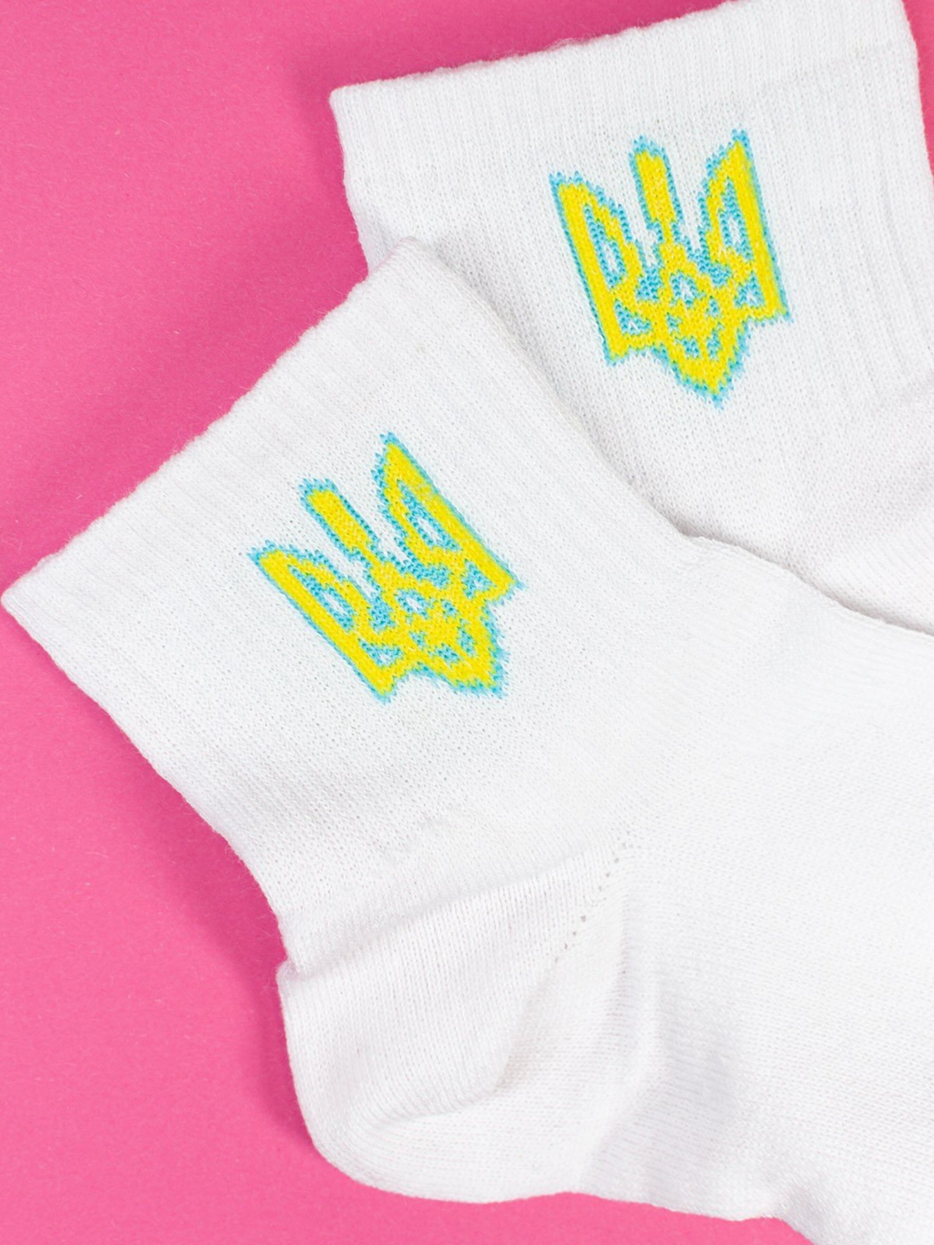 Шкарпетки ISSA Plus модель NS-258_white Фото