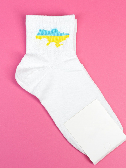 Шкарпетки ISSA Plus модель NS-259_white Фото