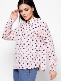 Сорочка повсякденна CARICA модель BK747715 Сорочка повсякденна CARICA модель BK747715 Фото