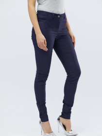 Брюки повседневные CARICA модель BR40742 Фото