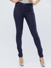 Повсякденні штани CARICA модель BR40742 Фото