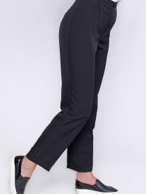 Повсякденні штани CARICA модель BR42248 Фото