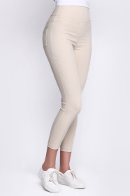 Повседневные штаны CARICA модель BR403610 Фото