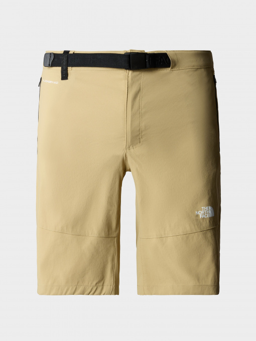Шорты The North Face модель NF0A495OLK51 Фото