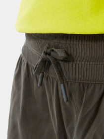 Шорты The North Face модель NF0A4AQF21L1 Фото