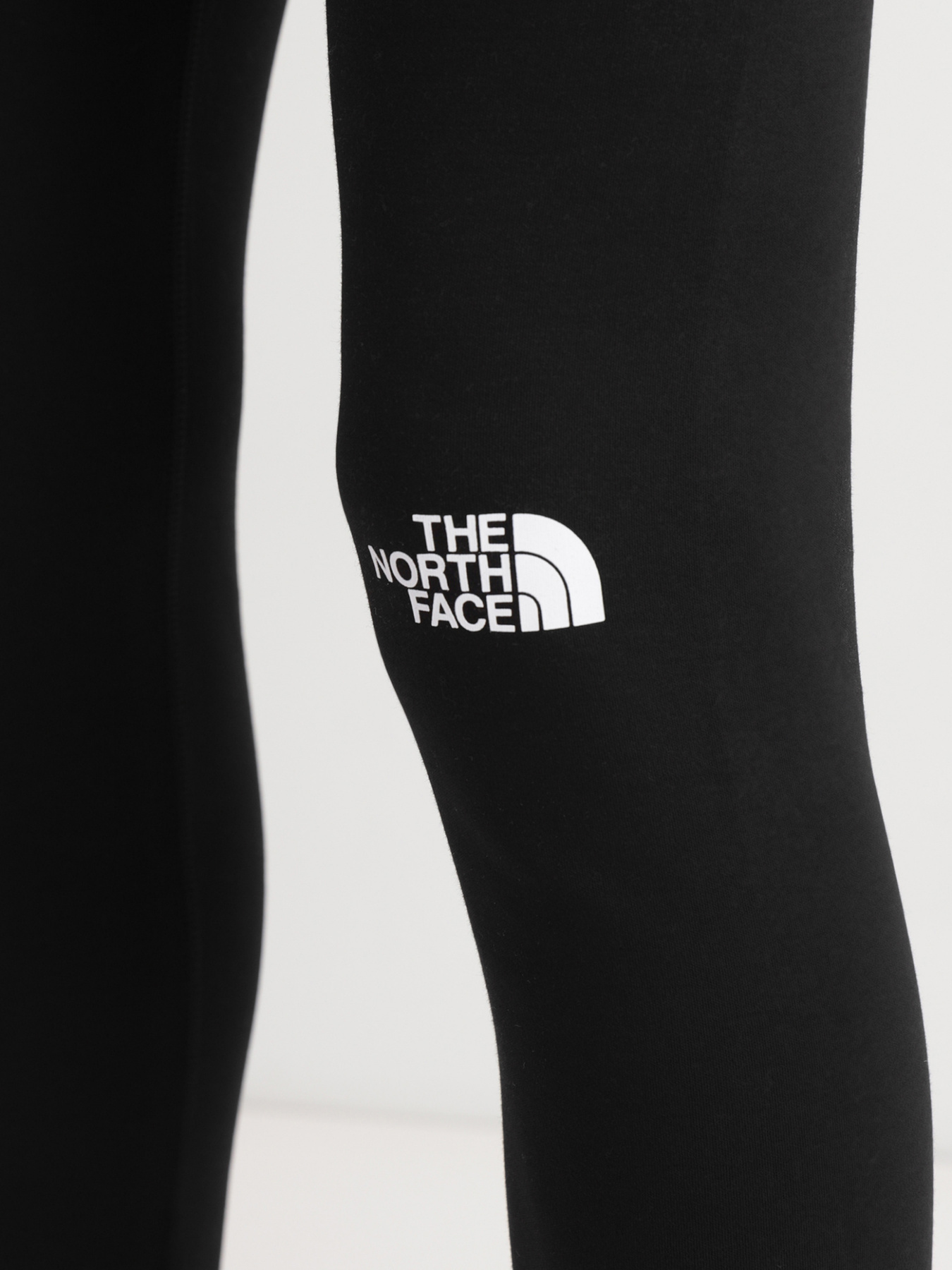 Брюки The North Face модель NF0A7ZGIJK31 Фото