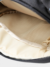 Сумки The North Face модель NF0A81C4ISY1 Фото
