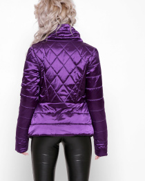 Демісезонна куртка CARICA модель LS877419 Фото