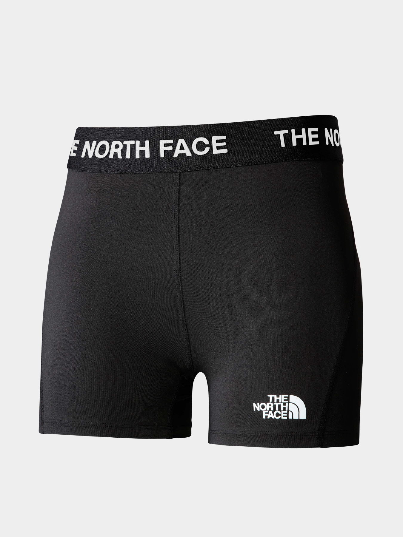 Шорты The North Face модель NF0A824NJK31 Фото