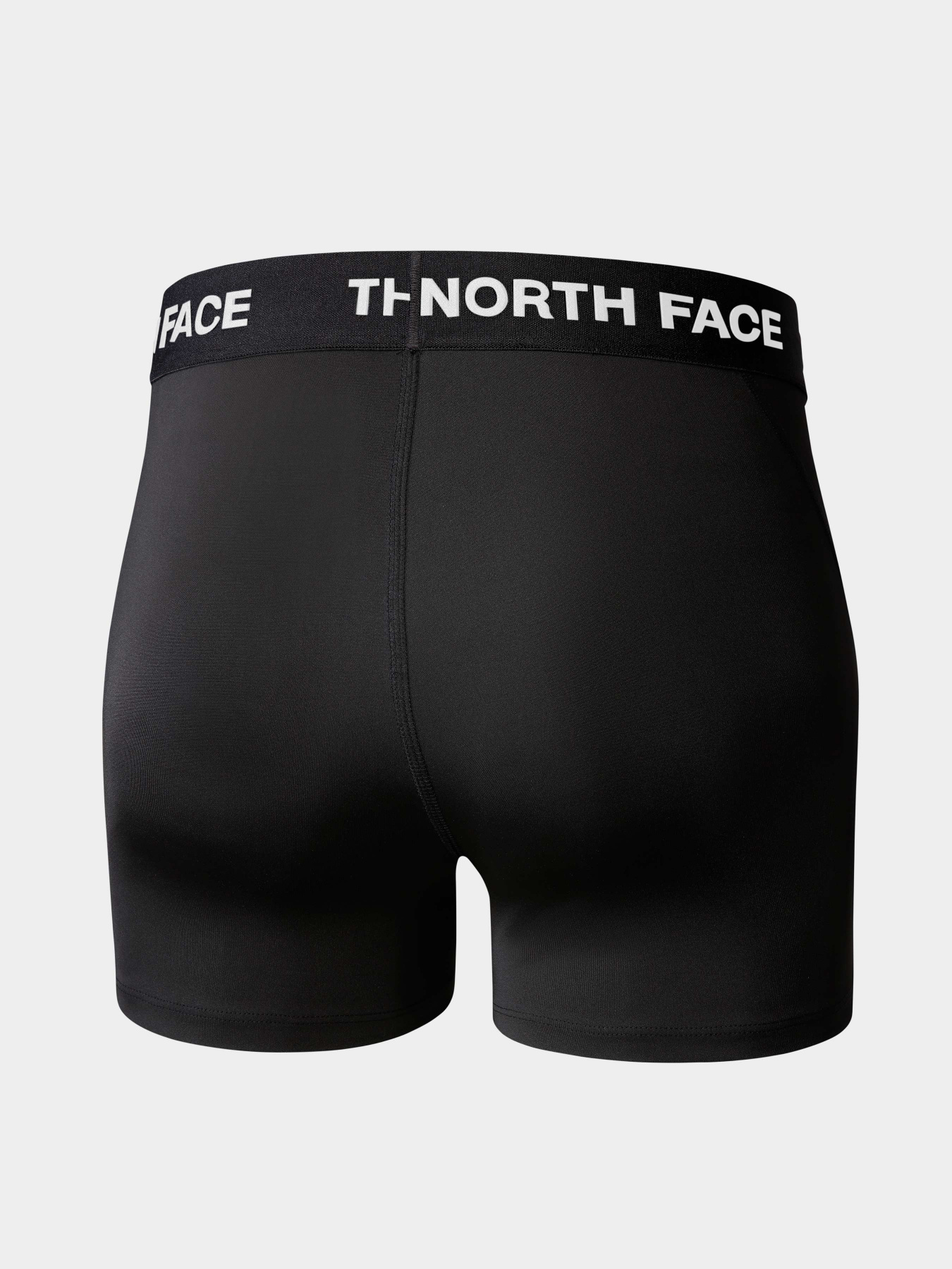 Шорты The North Face модель NF0A824NJK31 Фото