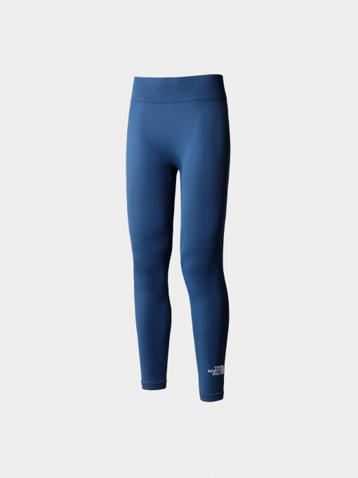 Брюки The North Face модель NF0A82GOHDC1 Фото