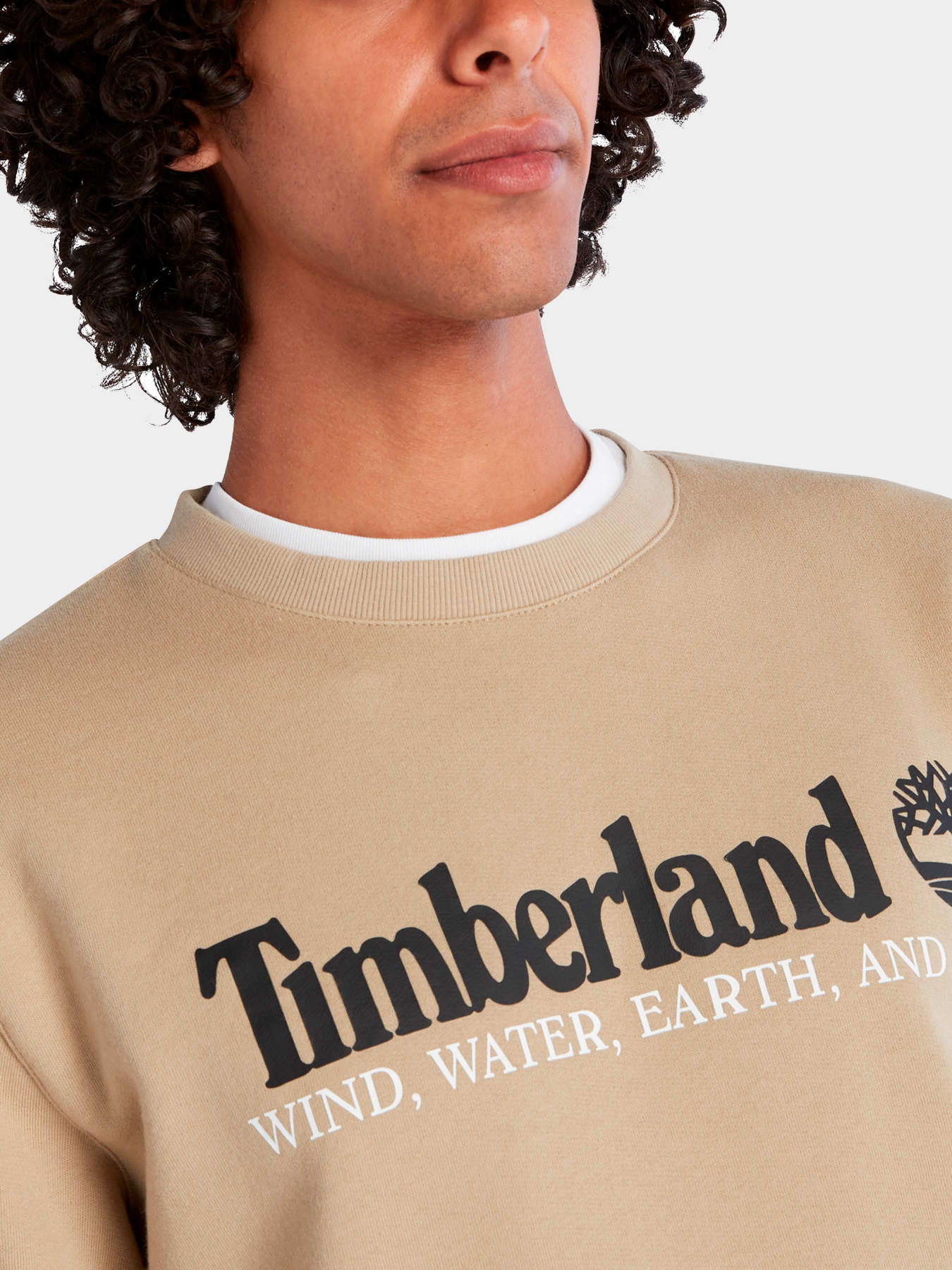 Худи и свитшоты Timberland модель TB0A27HCDH4 Фото