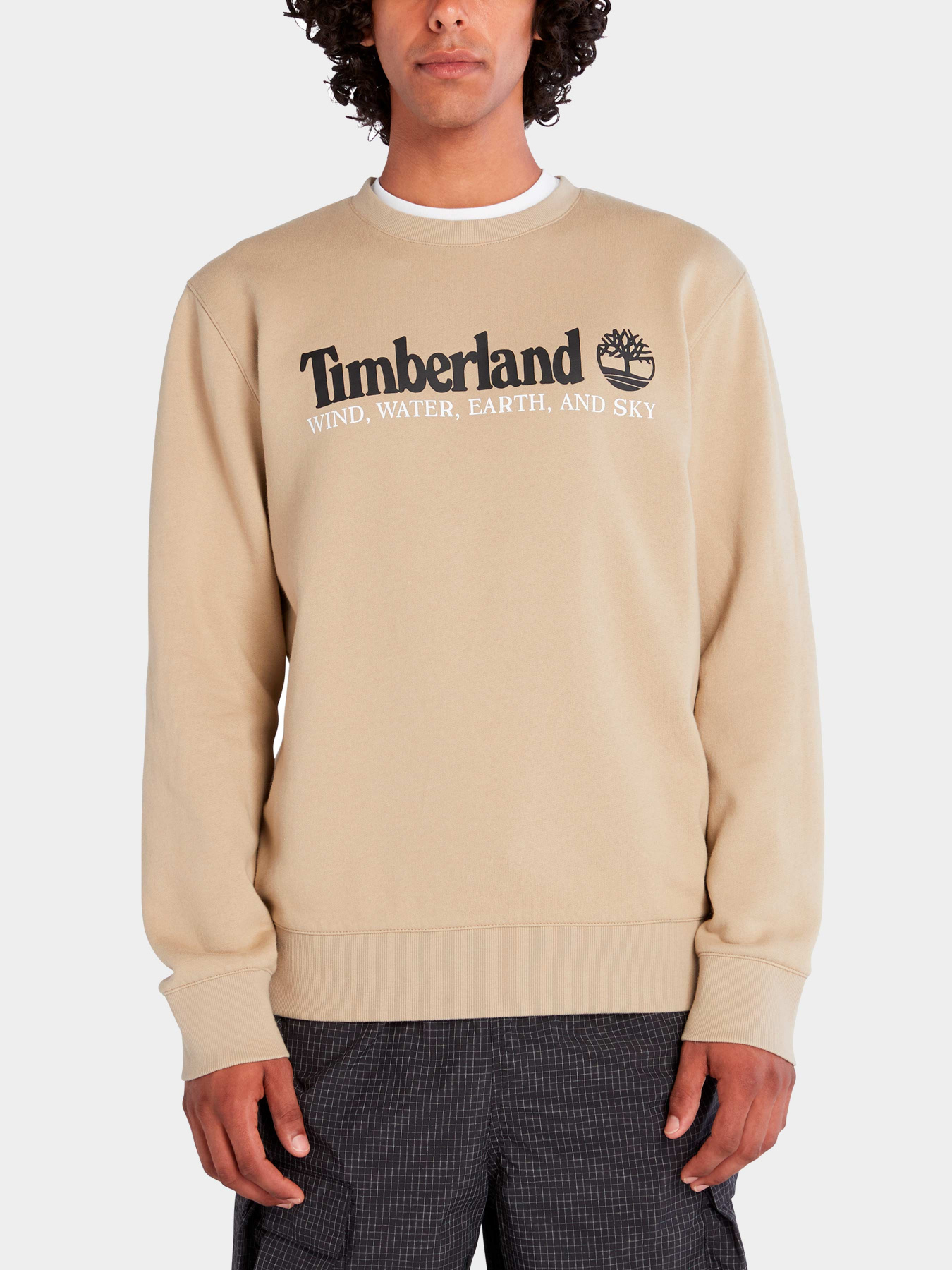 Худи и свитшоты Timberland модель TB0A27HCDH4 Фото