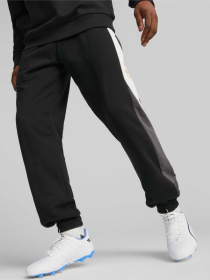 Штаны спортивные PUMA King Top Sweat Pants модель 658345 Фото