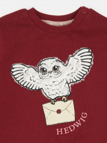 Свитшот H&M модель 57835 Фото