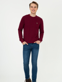 Джемпер US Polo модель G081GL082.000.1260124.VR014 Фото