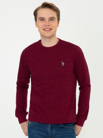 Джемпер US Polo модель G081GL082.000.1260124.VR014 Фото