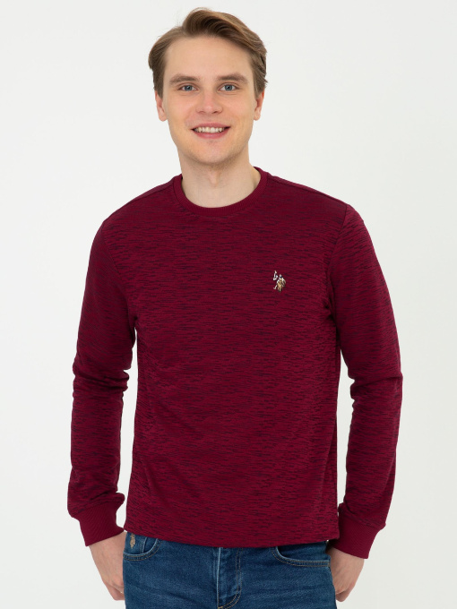 Джемпер US Polo модель G081GL082.000.1260124.VR014 Фото