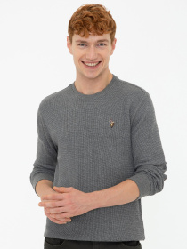 Джемпер US Polo модель G081SZ082.000.1258396.VR081 Фото