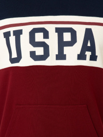 Худі US Polo модель G081SZ082.000.1258673.VR033 Фото