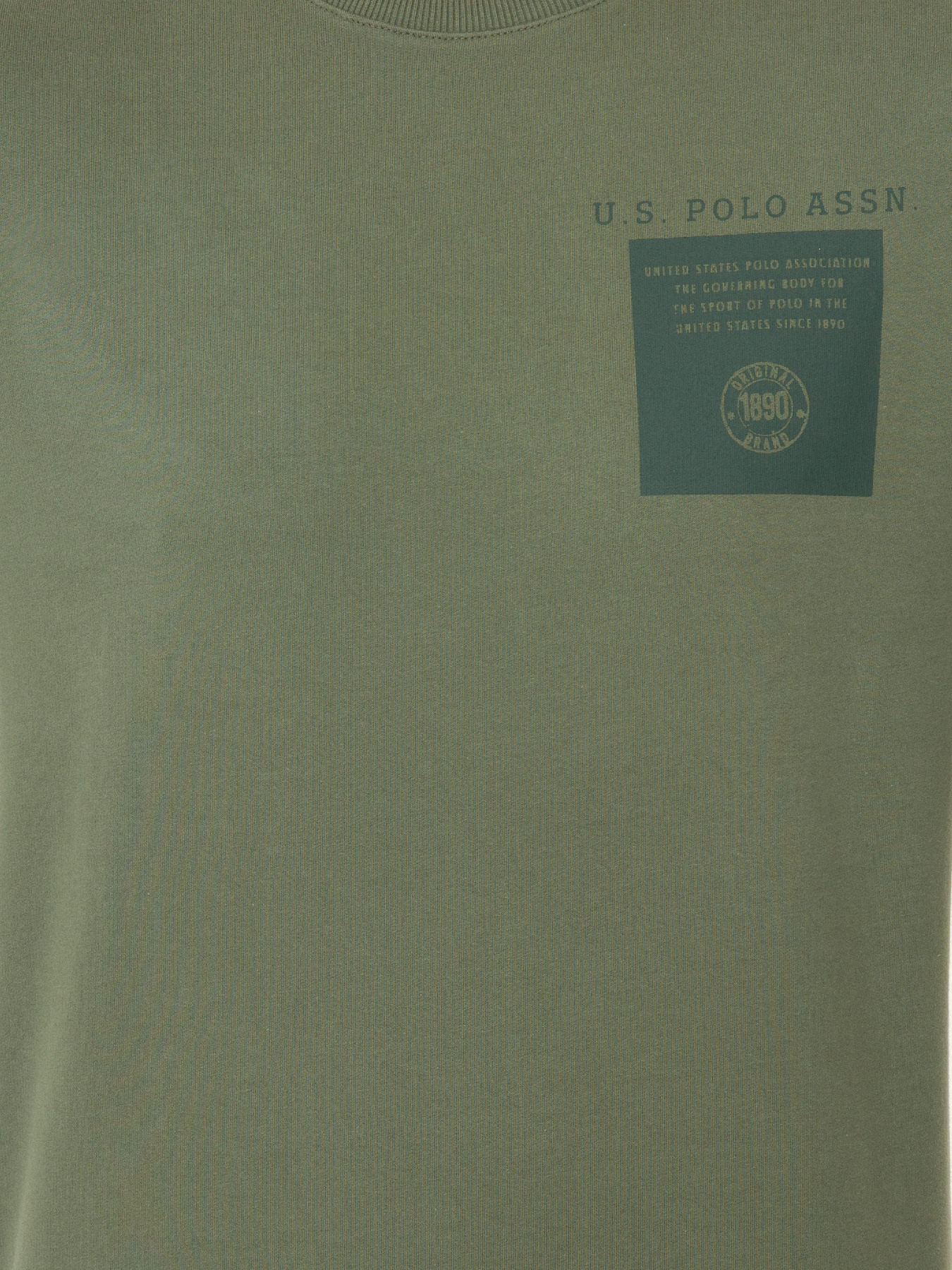 Світшот US Polo модель G081SZ082.000.1361026.VR027 Фото