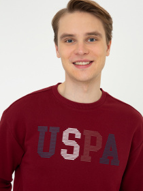 Свитшот US Polo модель G081SZ082.000.1284932.VR014 Фото