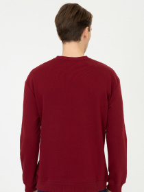 Свитшот US Polo модель G081SZ082.000.1284932.VR014 Фото