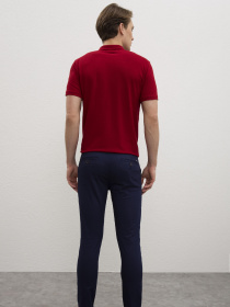 Брюки повседневные US Polo модель G081GL078.000.974200.VR033 Фото