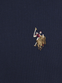 Рубашка повседневная US Polo модель G081SZ004.000.1085902.VR033 Фото