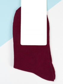 Шкарпетки ISSA Plus модель NS-270_burgundy Фото