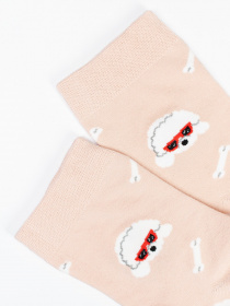 Шкарпетки ISSA Plus модель NS-275_pink Фото