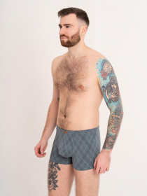 Трусы ISSA Plus модель GN5-167_green Фото