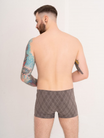 Труси ISSA Plus модель GN5-167_brown Фото