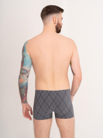 Трусы ISSA Plus модель GN5-167_grey Трусы ISSA Plus модель GN5-167_grey Фото